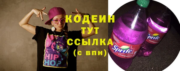 хмурый Алексин