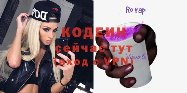 хмурый Алексин