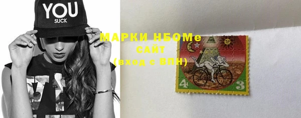хмурый Алексин