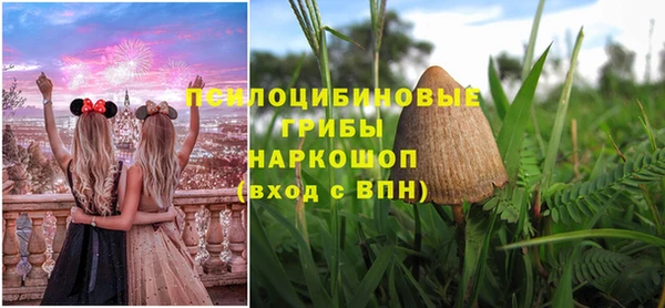 хмурый Алексин