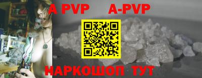 шишки Аргун