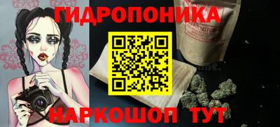 шишки Аргун