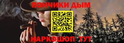 шишки Аргун