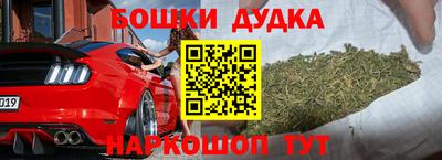 шишки Аргун