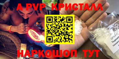 шишки Аргун